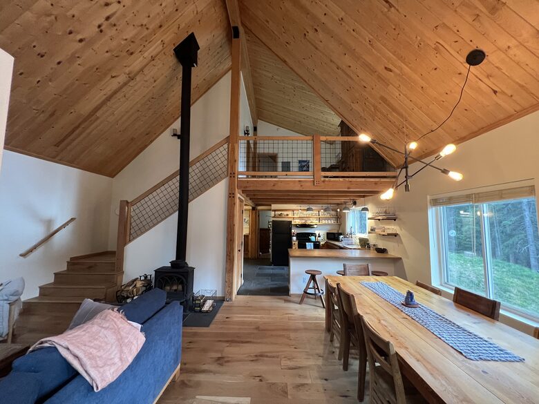 Private Ski Cabin 15 Minutes from Breckenridge - Alma, Colorado