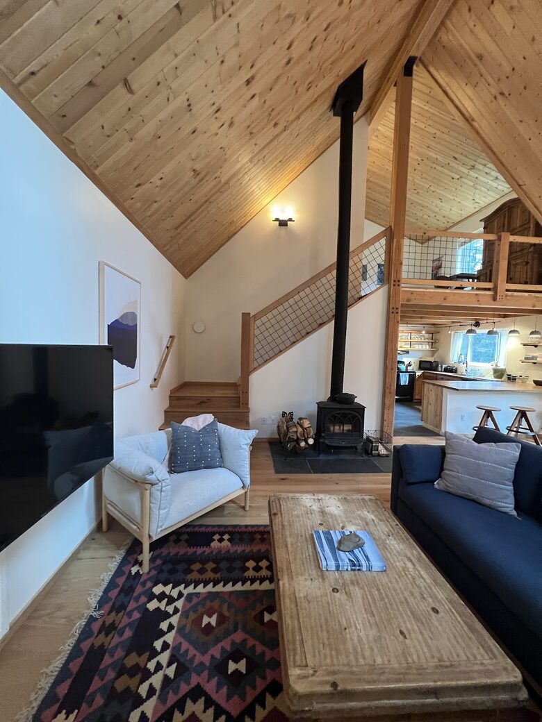 Private Ski Cabin 15 Minutes from Breckenridge - Alma, Colorado
