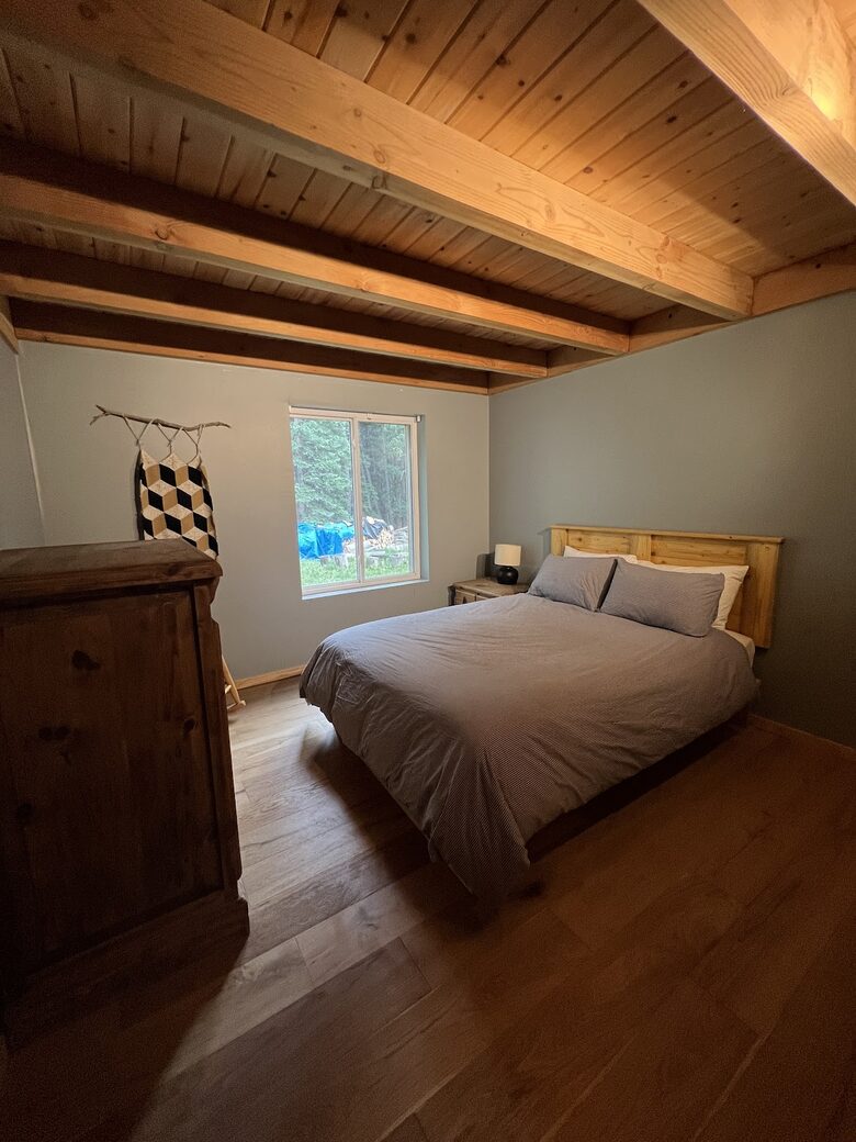 Private Ski Cabin 15 Minutes from Breckenridge - Alma, Colorado