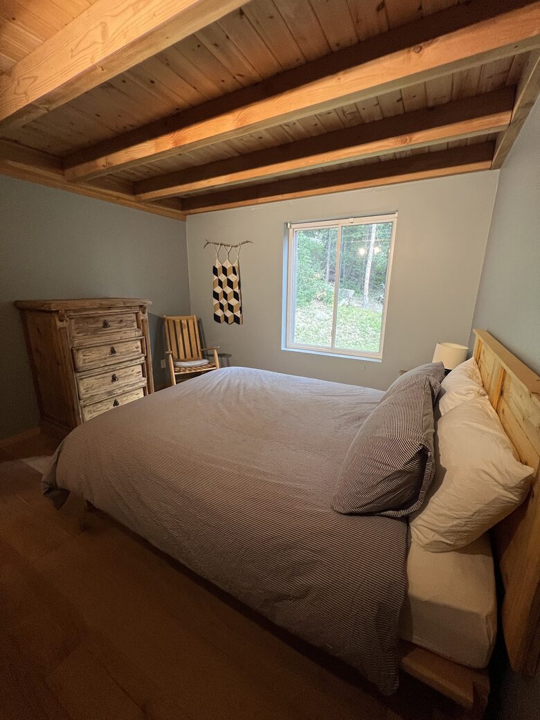 Private Ski Cabin 15 Minutes from Breckenridge - Alma, Colorado