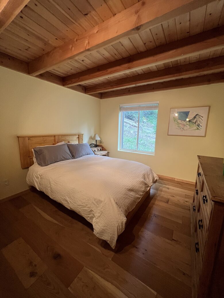 Private Ski Cabin 15 Minutes from Breckenridge - Alma, Colorado