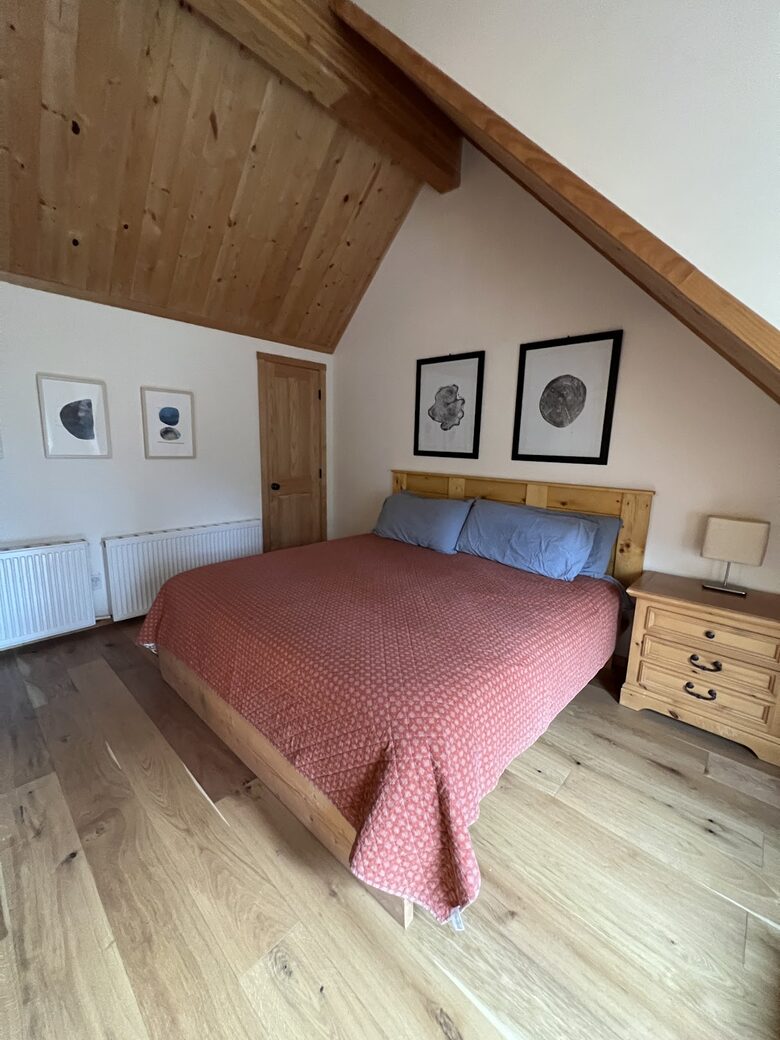 Private Ski Cabin 15 Minutes from Breckenridge - Alma, Colorado