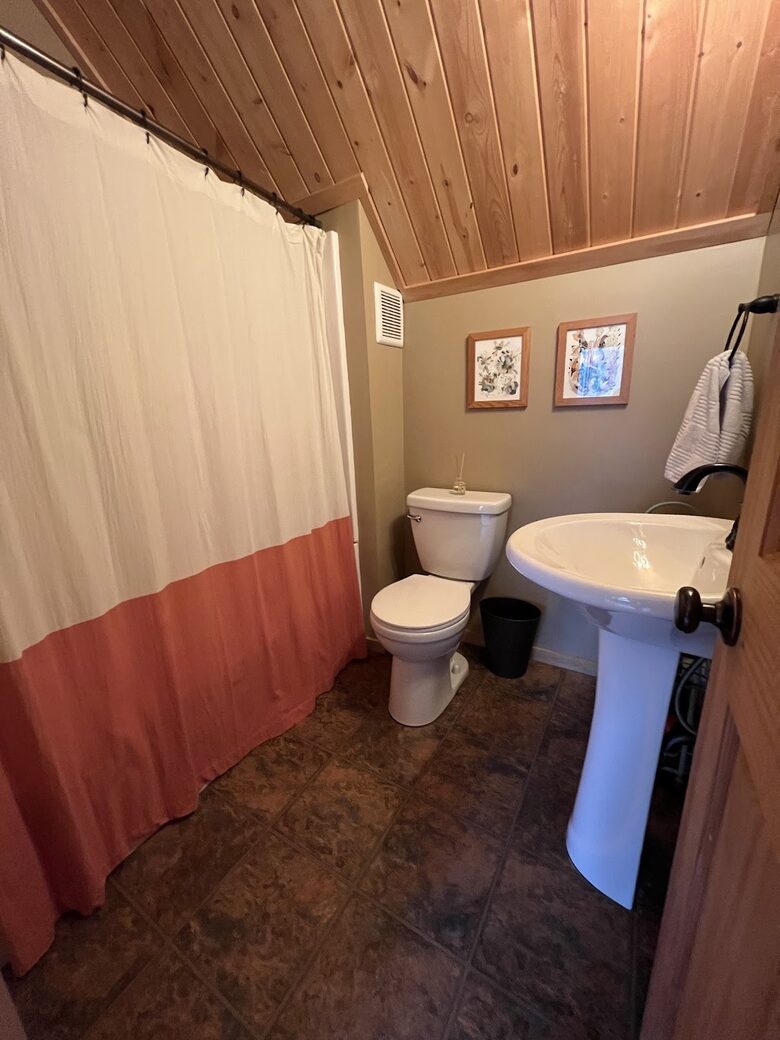 Private Ski Cabin 15 Minutes from Breckenridge - Alma, Colorado