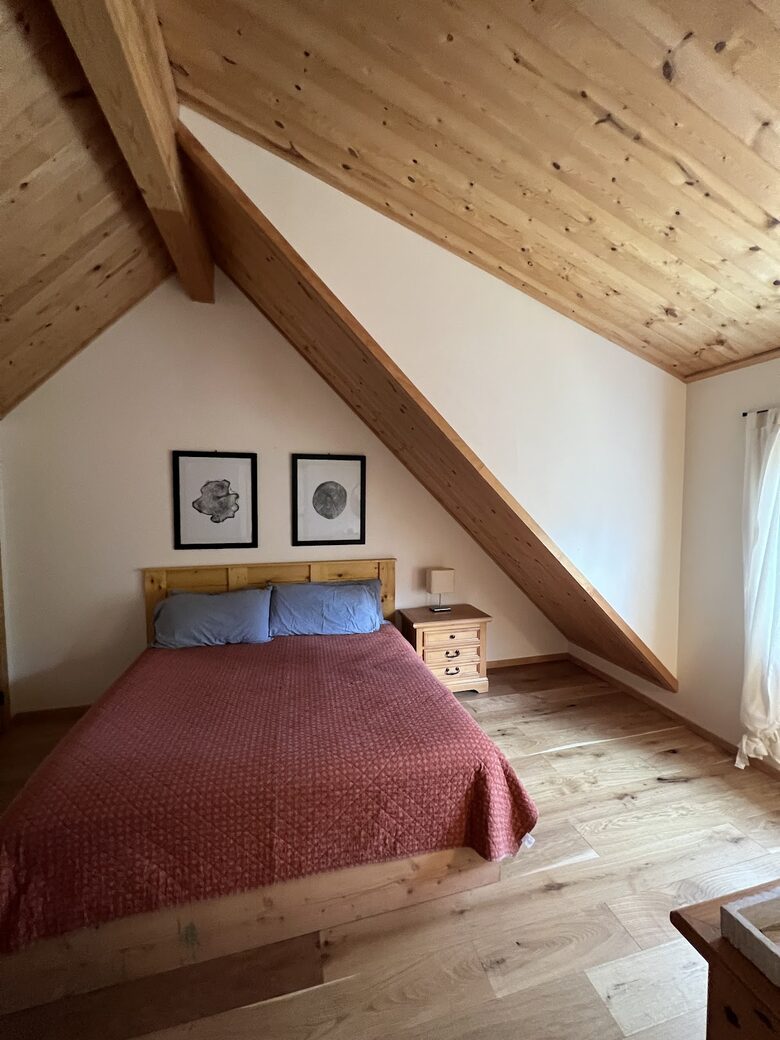 Private Ski Cabin 15 Minutes from Breckenridge - Alma, Colorado