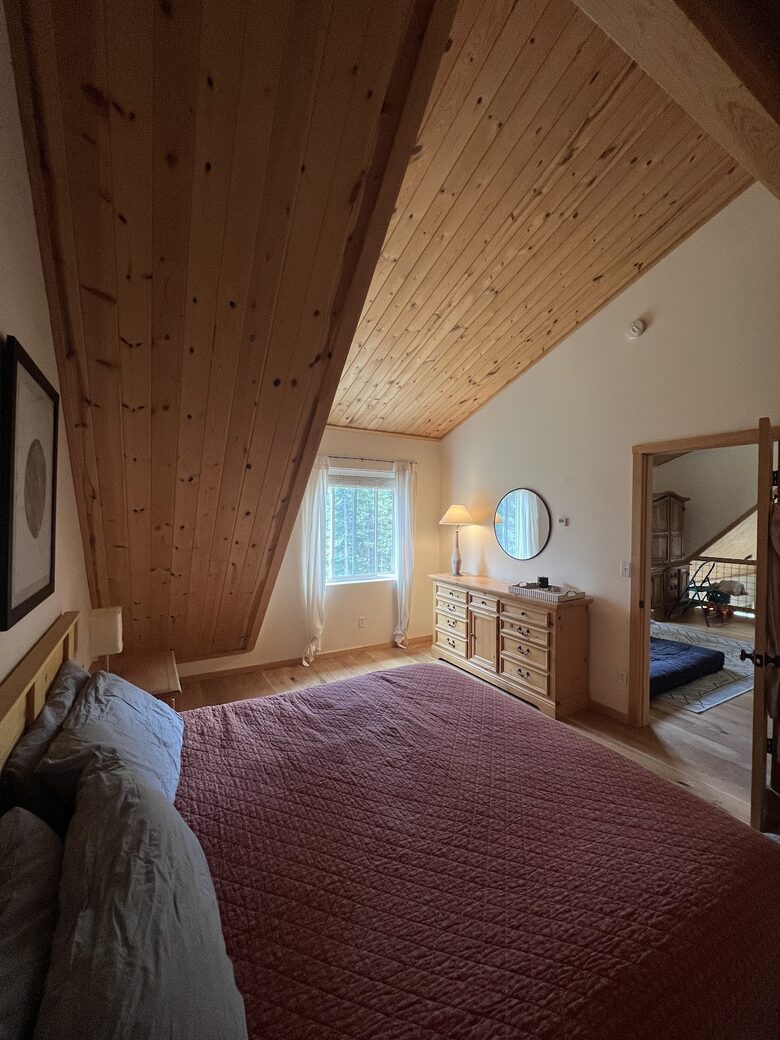 Private Ski Cabin 15 Minutes from Breckenridge - Alma, Colorado