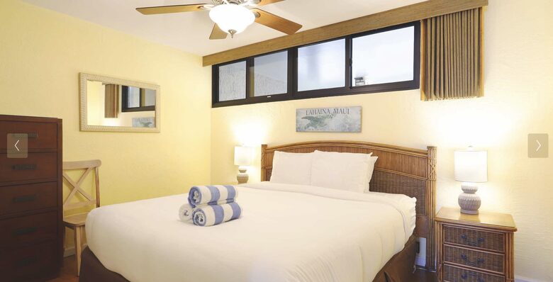 Maui Oceanfront, Stunning view! Sunshine, Ocean Activities, Golf, Pickleball, Tennis and World Class Restaurants! - Lahaina, Hawaii