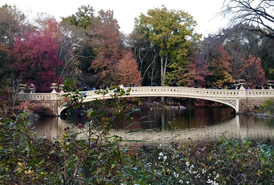 Central Park across the street