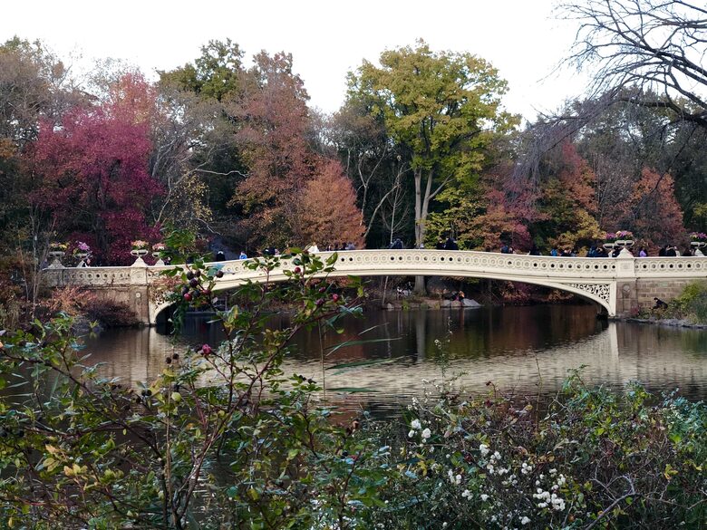 Central Park across the street