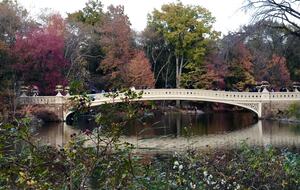 Central Park across the street