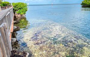 Florida Bay Club | Key Largo townhouse & boat slip - Key Largo, Florida