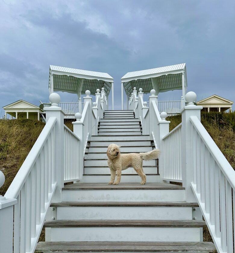 Beachfront Cottage in Seaside - Santa Rosa Beach, Florida