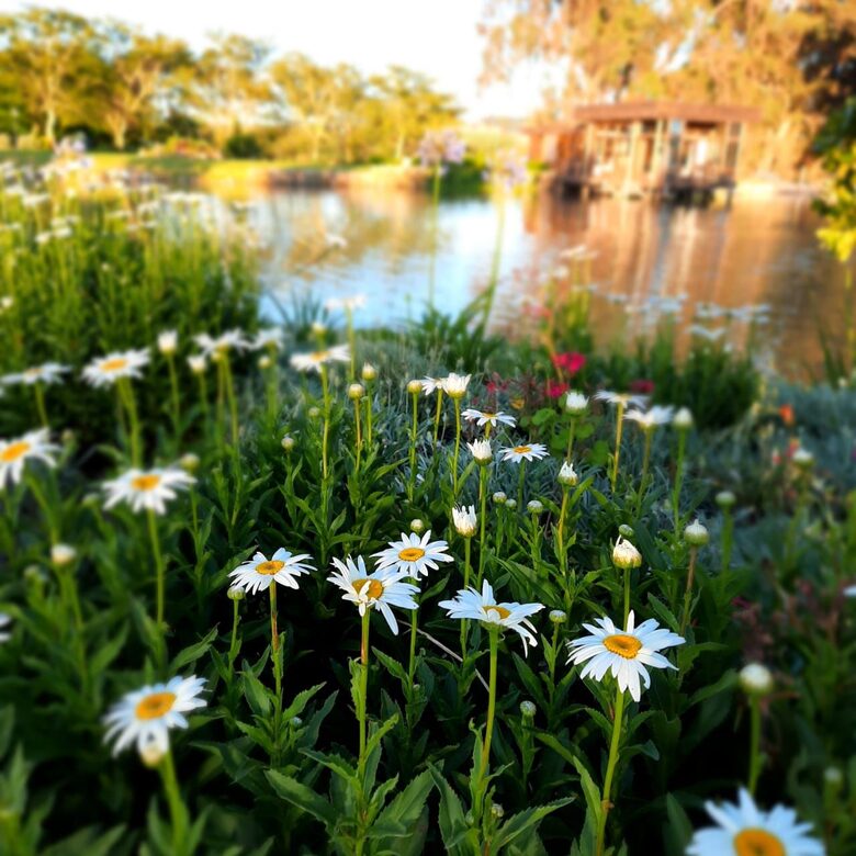 Manor House Fijndraai Estate - Stellenbosch, South Africa
