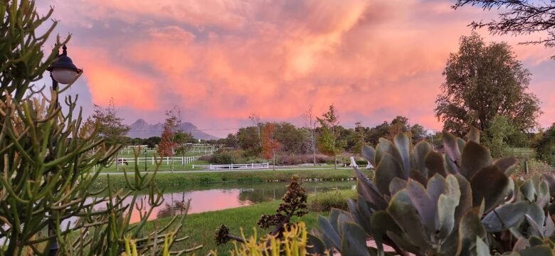 Manor House Fijndraai Estate - Stellenbosch, South Africa