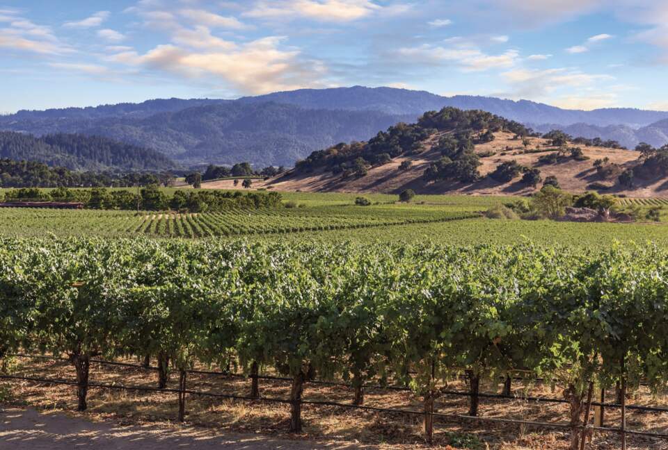 Vino Bello Resort Villa - Napa, California
