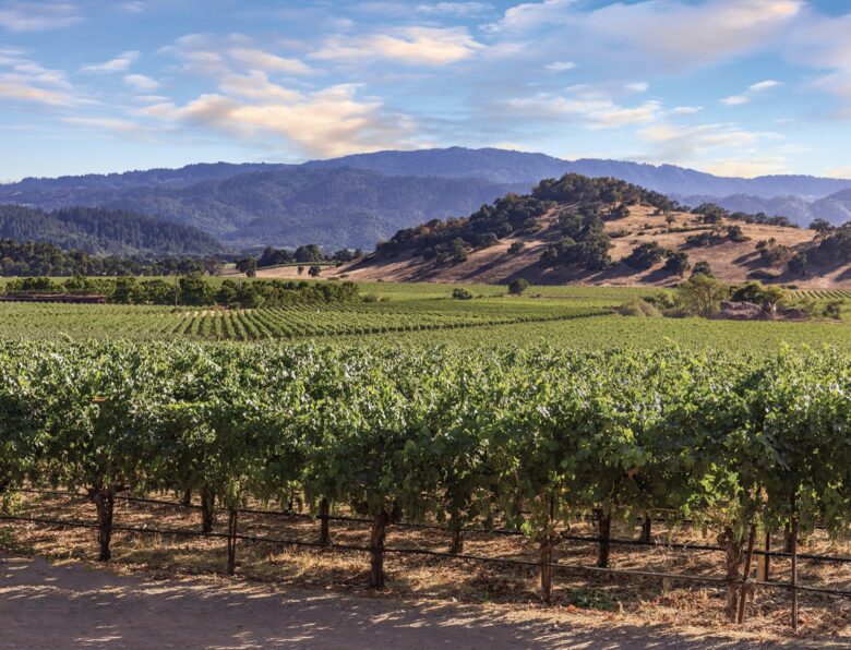 Vino Bello Resort Villa - Napa, California
