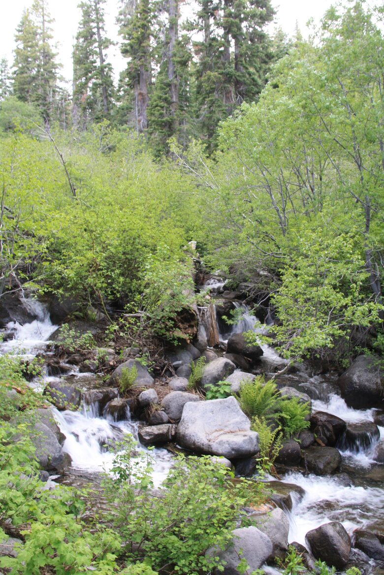 Year-round creek behind property gives great sounds!