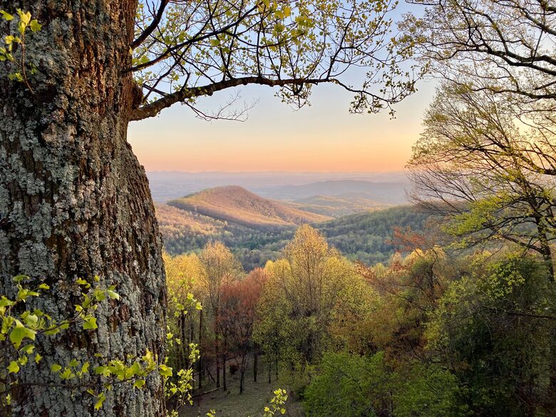 The Glade Castle - Glade Valley, North Carolina