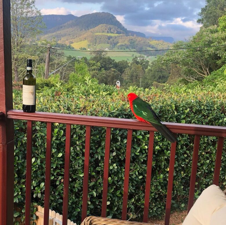 Utterly charming with gorgeous views - 2 hours from Sydney - Kangaroo Valley, Australia