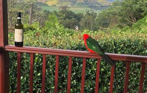 Utterly charming with gorgeous views - 2 hours from Sydney - Kangaroo Valley, Australia