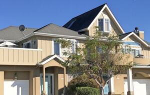 Seabright Bliss - Santa Cruz, California