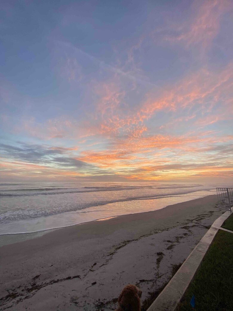 Beautiful Beachfront Villa with Heated Pool - New Smyrna Beach, Florida