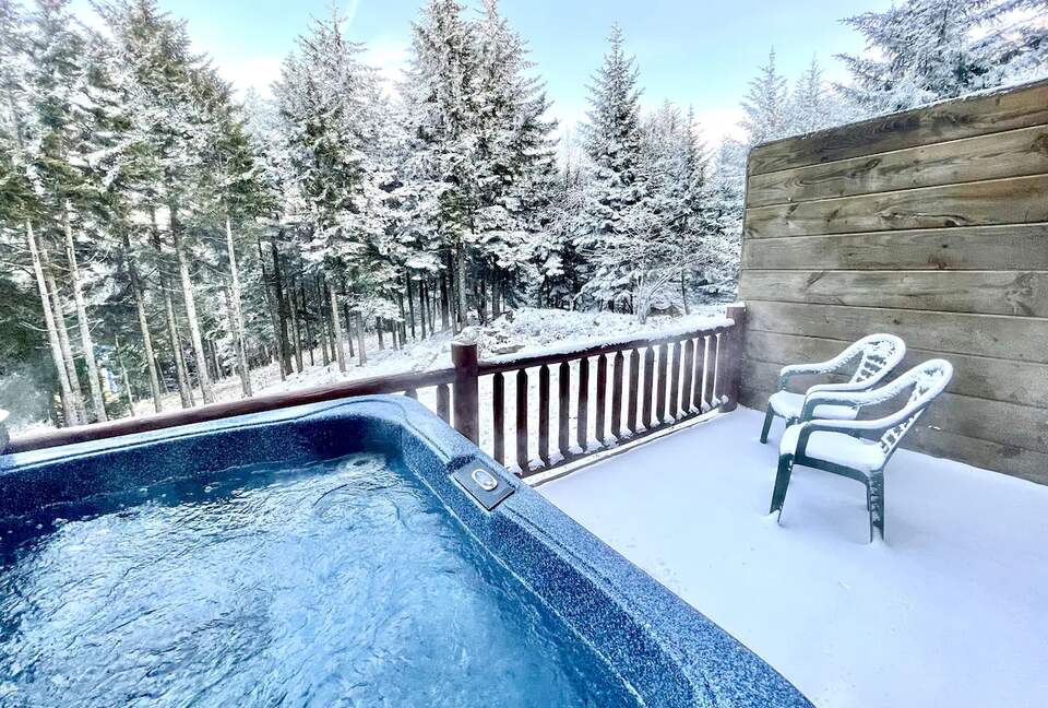 Ski-in, Ski-out Snowshoe Retreat - Snowshoe, West Virginia