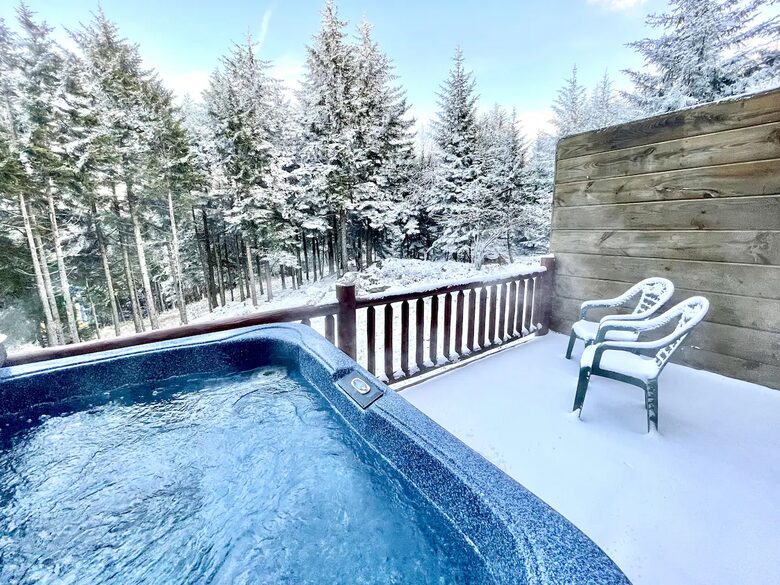 Ski-in, Ski-out Snowshoe Retreat - Snowshoe, West Virginia