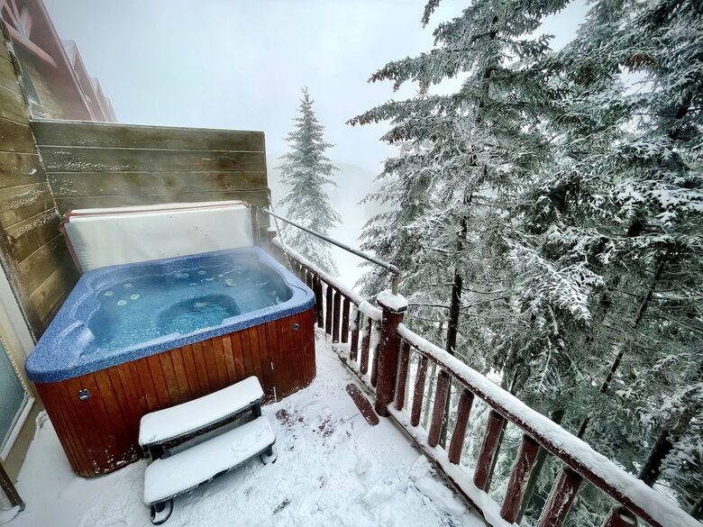 Loggers Run Retreat Ski-in, Ski-out - Snowshoe, West Virginia