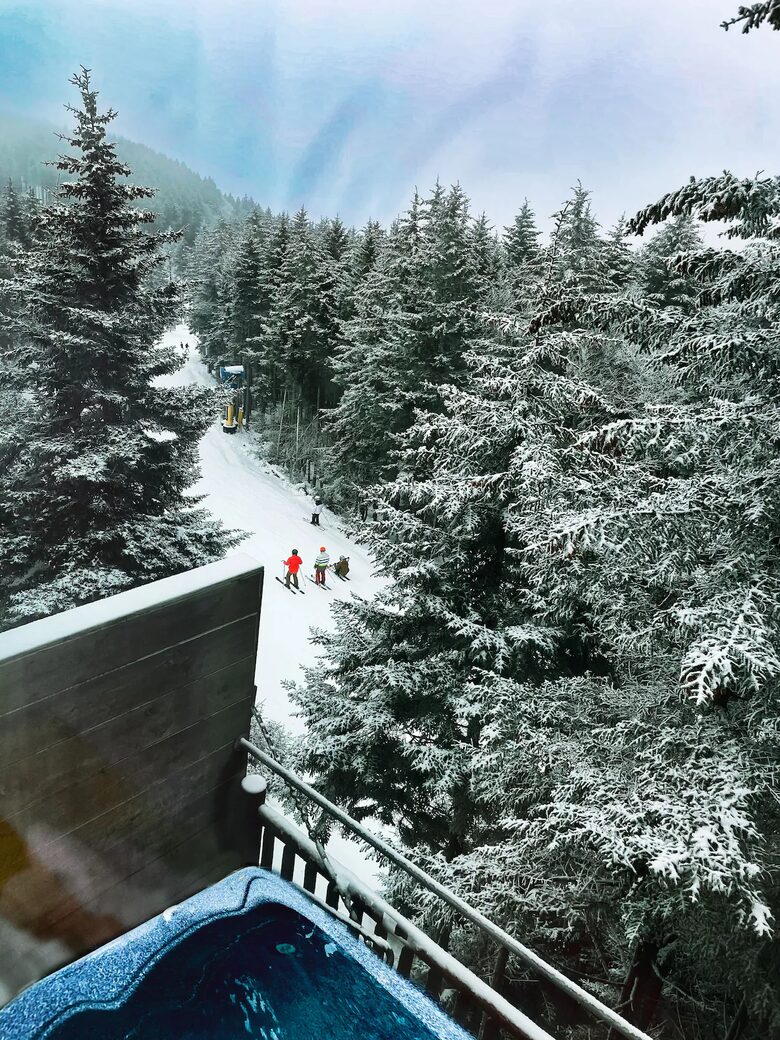 Upscale Ski-in, Ski-out Lodge - Snowshoe, West Virginia