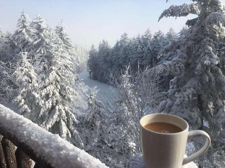 Upscale Ski-in, Ski-out Lodge - Snowshoe, West Virginia