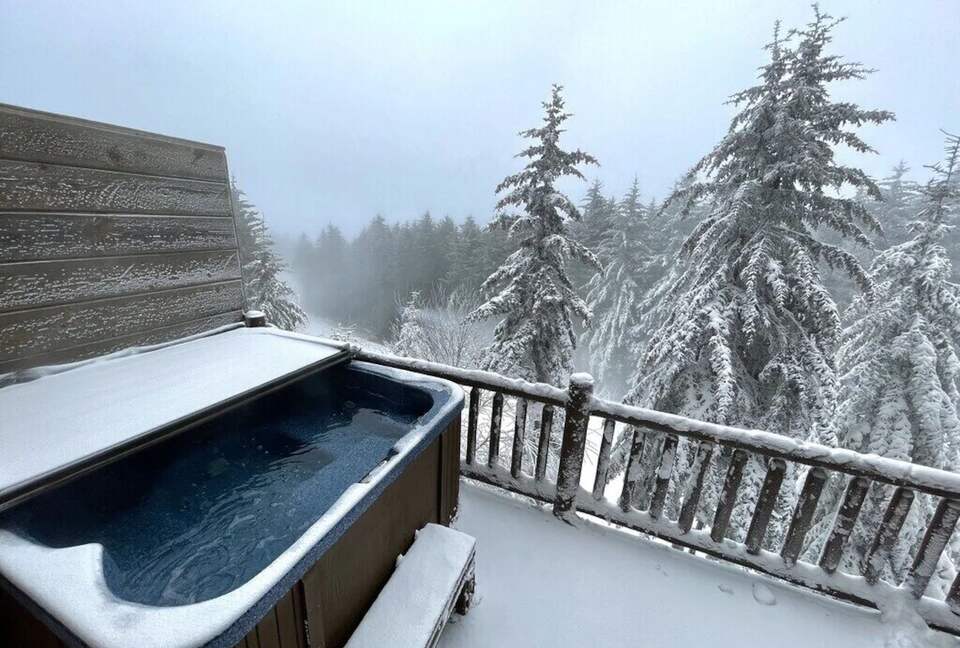 Upscale Ski-in, Ski-out Lodge - Snowshoe, West Virginia