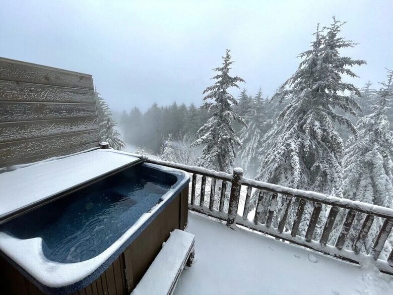 Upscale Ski-in, Ski-out Lodge - Snowshoe, West Virginia