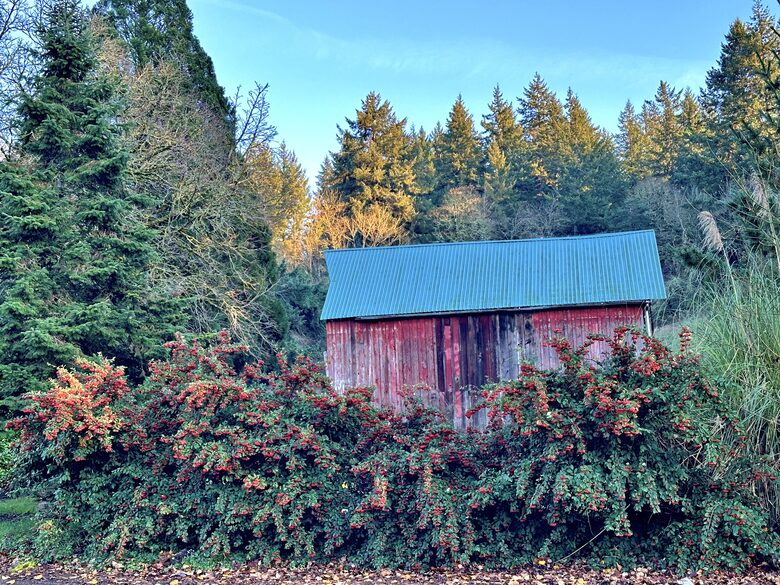 Charming Home Polk County - Dallas, Oregon