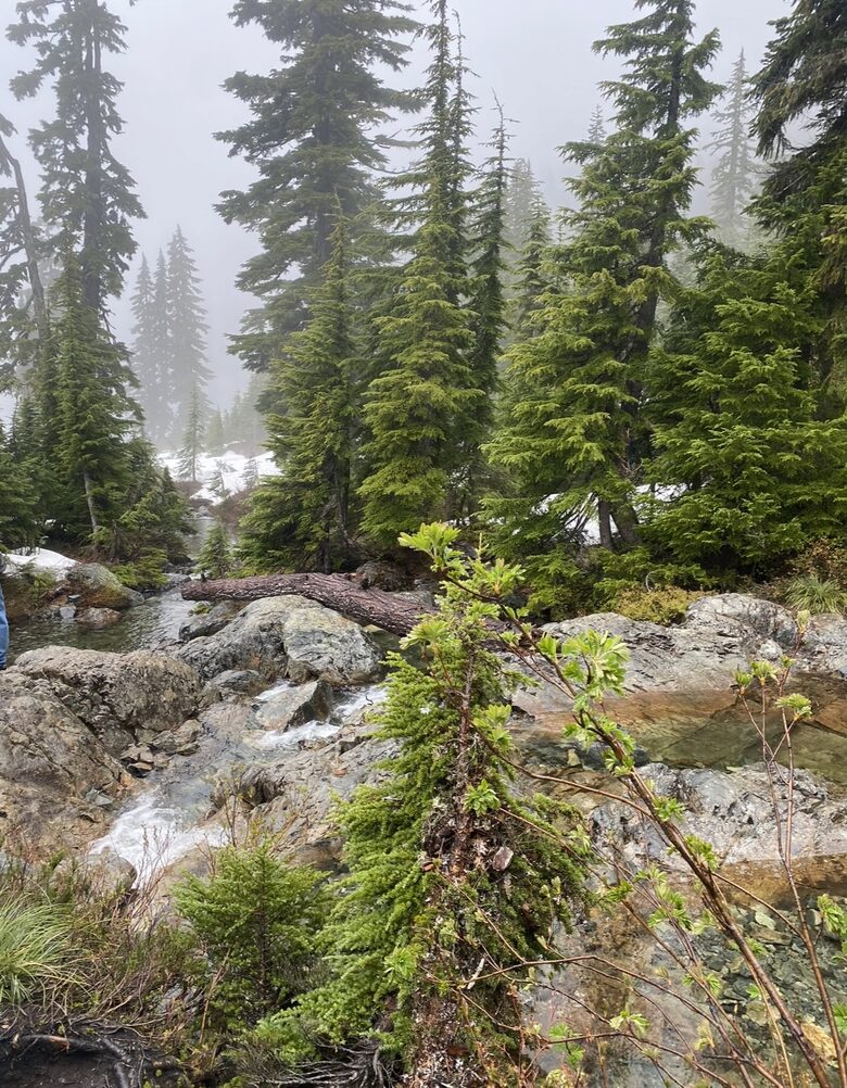 Hawkeye’s Cabin - Ronald, Washington