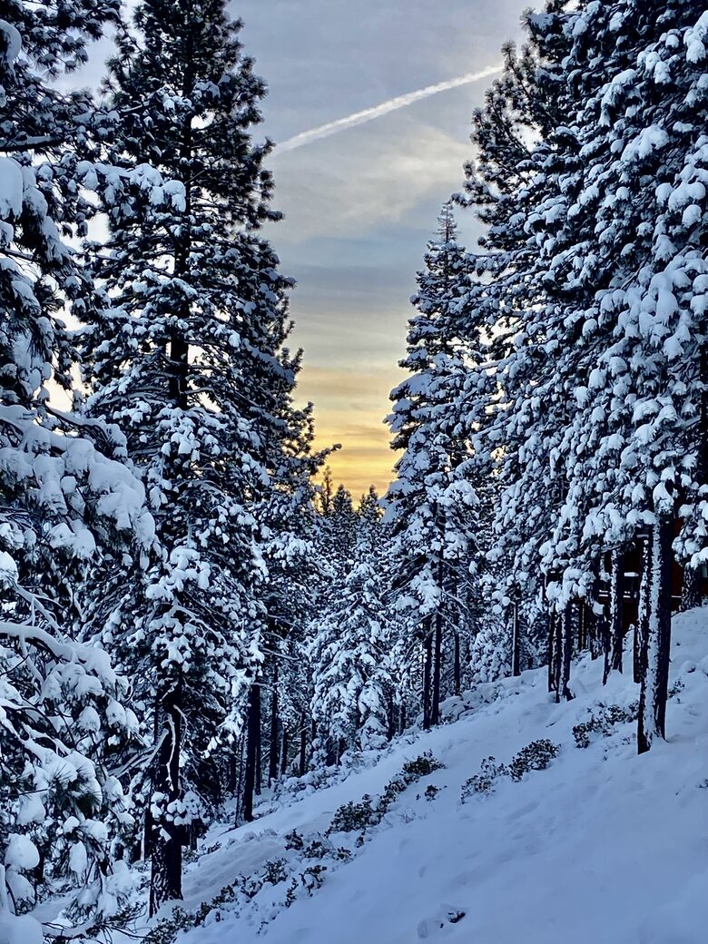 Top of the Peak Tahoe Chalet - Incline Village-Crystal Bay, Nevada