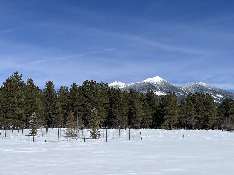 Flagstaff Log Cabin - Ski Retreat and Summer Heaven - Flagstaff, Arizona