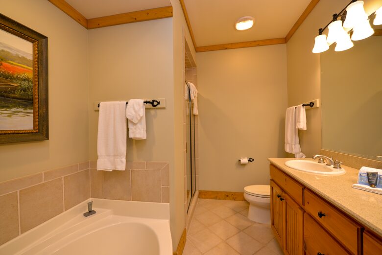Downstairs King Private Bathroom