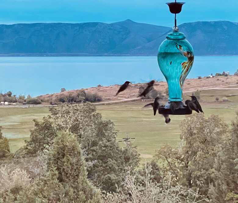 Bear Lake Retreat - Garden City, Utah