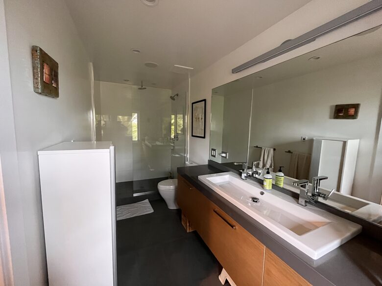 primary bathroom with rain shower