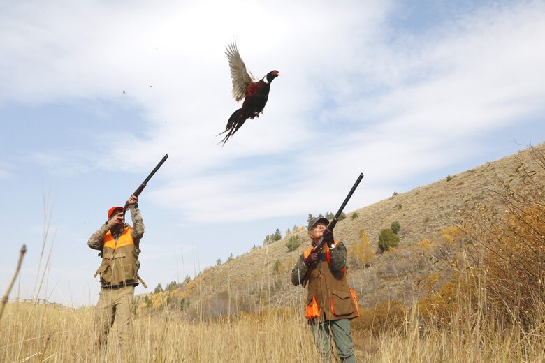 Lazy Triple Creek Ranch | Exclusive Idaho Sporting Estate on 2,200+ Acres - Rexburg, Idaho