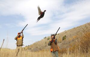 Lazy Triple Creek Ranch | Exclusive Idaho Sporting Estate on 2,200+ Acres