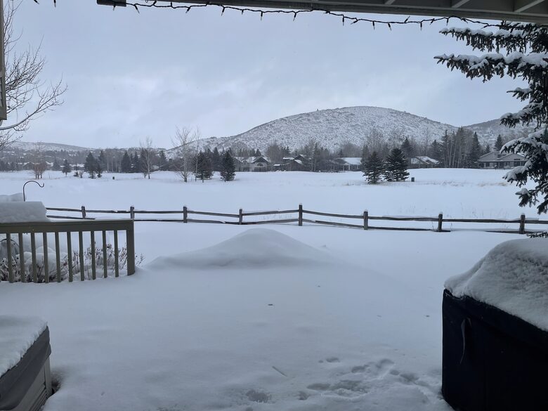 Snowy wintertime view