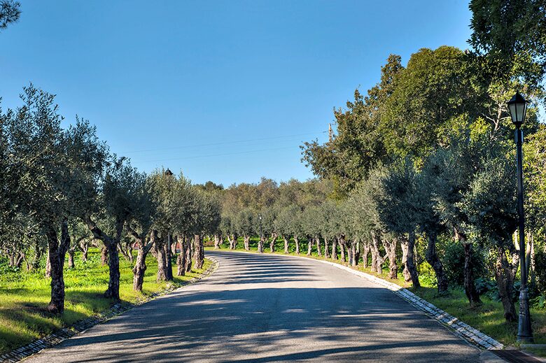 Gorgeous Property in Quinta Patino Luxury Resort - Estoril, Portugal