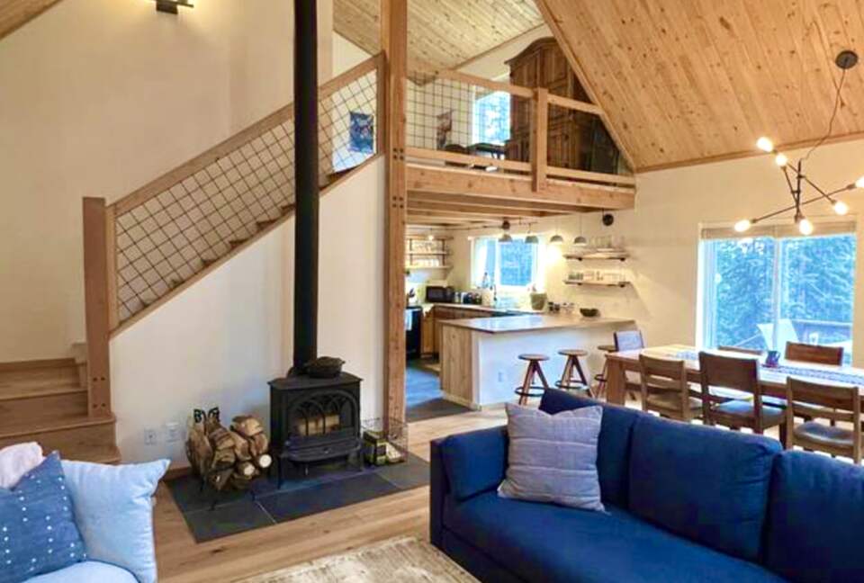 Private Ski Cabin 15 Minutes from Breckenridge - Alma, Colorado