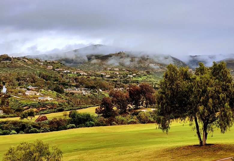 Refined Rancho Santa Fe Relaxation | Close to San Diego - San Diego, California