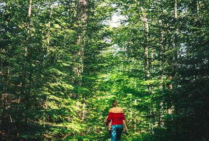 Luxury Bruce Peninsula A-Frame with 25 Private Acres and Private Trails! - Mar, Canada