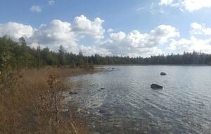 Luxury Bruce Peninsula A-Frame with 25 Private Acres and Private Trails! - Mar, Canada