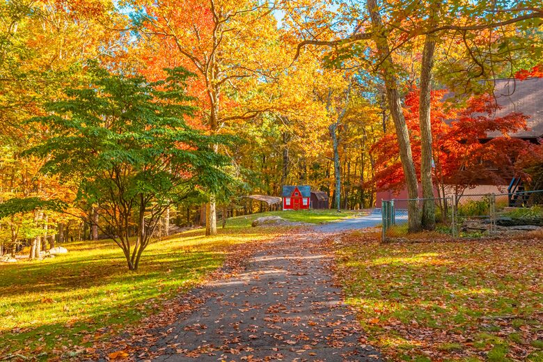 Pocono Mountains 4 Acre Oasis - Heated Pool, Hot Tub, Gameroom - Barrett Township, Pennsylvania