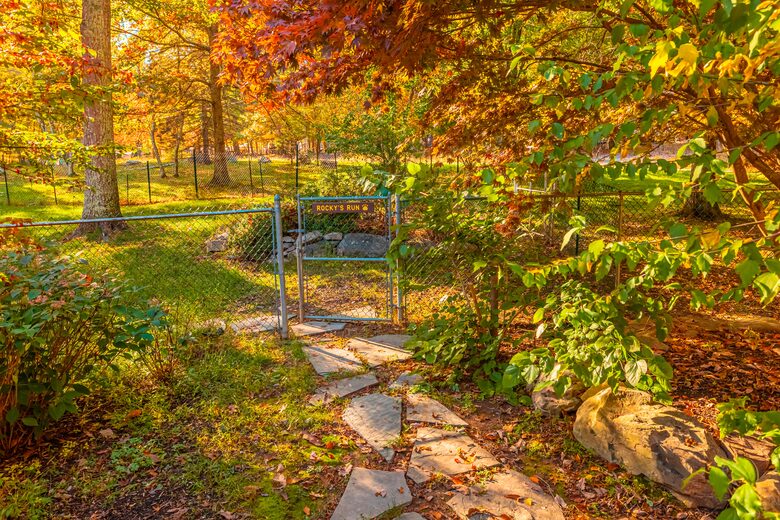 Pocono Mountains 4 Acre Oasis - Heated Pool, Hot Tub, Gameroom - Barrett Township, Pennsylvania