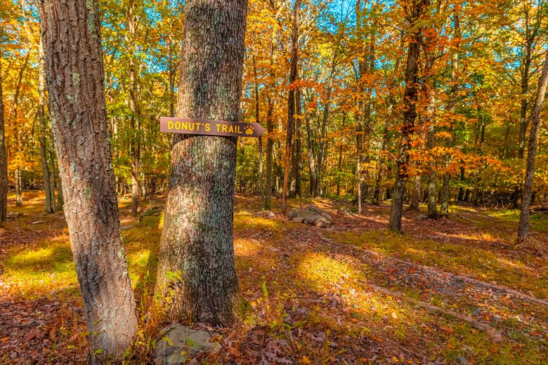 Pocono Mountains 4 Acre Oasis - Heated Pool, Hot Tub, Gameroom - Barrett Township, Pennsylvania